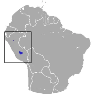 Quechuan mouse opossum