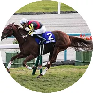 Queen Elizabeth II Cup