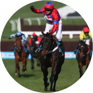 Queen Mother Champion Chase - 