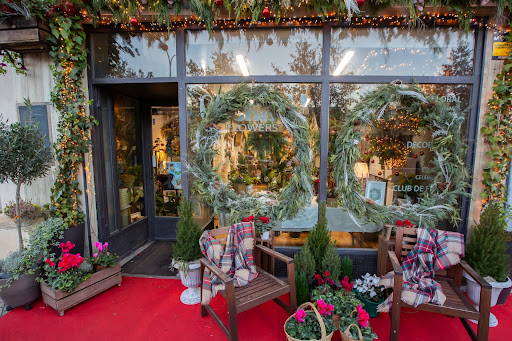 Querida Flowers photograph