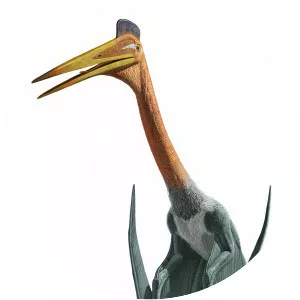 Quetzalcoatlus