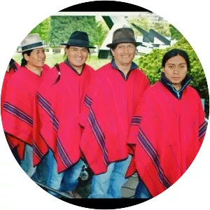 Quichua Mashis - Musical artist