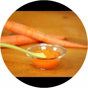 Quick and Easy Weaning - Book by Annabel Karmel