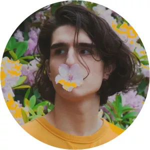 Quiet Bison - Musical artist