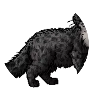 Quiet Rain photograph