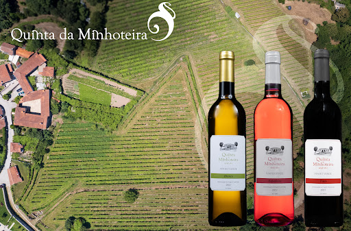 Quinta da Minhoteira - Wine cellar in Portugal