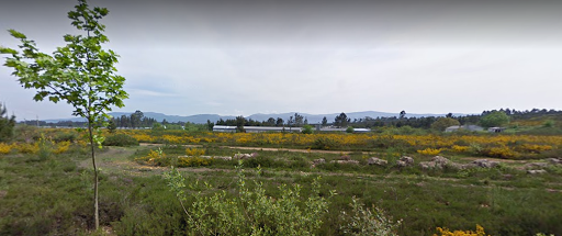 Quinta da Rebolinha - Poultry store