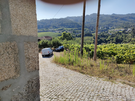 Quinta de Gondeiro - Vineyard