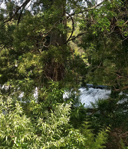 Quinta do Creugo - Farm in Portugal