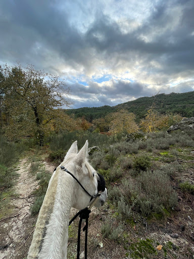 Quinta do Lameiro - Quinta Equestre - Equestrian facility in Portugal