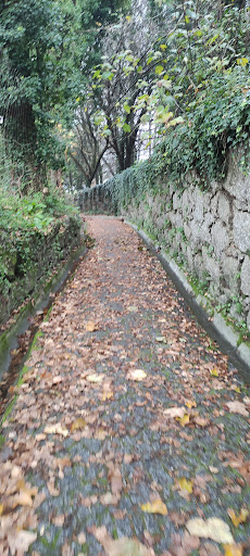 Quinta do Verdelho - Farm in Guimaraes Municipality, Portugal