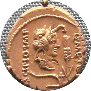 Quintus Caecilius Metellus Pius . . .