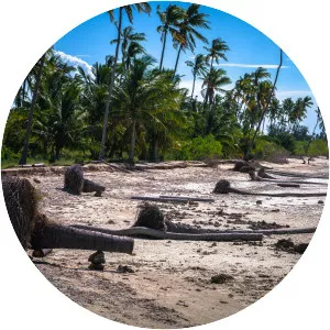 Quirimba - Island in Mozambique