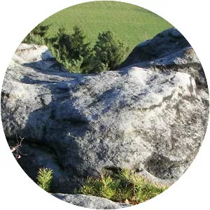 Quirl - Table in Germany