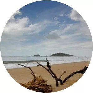 Rabindranath Tagore Beach - 