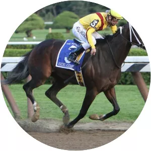 Rachel Alexandra