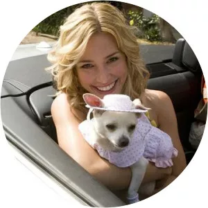 Rachel Ashe - Fictional character