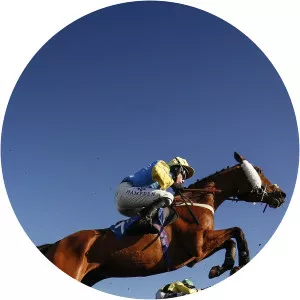 Racing SpecialsSince 2019 - TV program