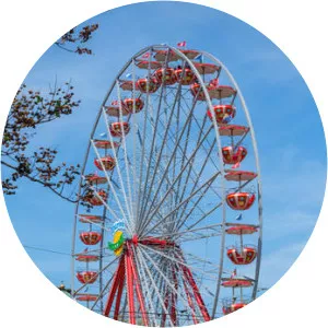 Rad Ferris - TV character