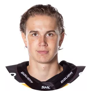 Radek Muzik - Ice hockey player