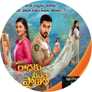 Radhaku Neevera Pranam - TV program