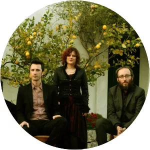 Radicanto - Musical group