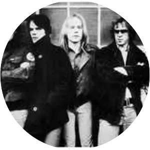 Radio Birdman - Rock band