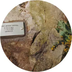 Radomil Michal Musician - Musical artist