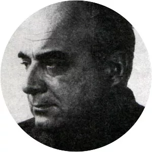 Radoš Novaković - Film director