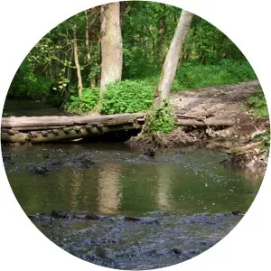 Radotínské údolí