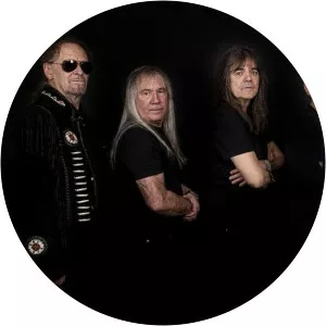 Radu Manafu Musician