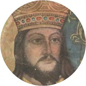 Radu Negru photograph