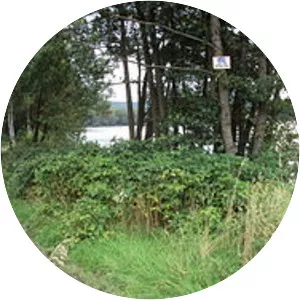 Radvanecký rybník - 