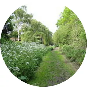 Raeburn Open Space - 