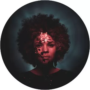 Raevennan Husbandes - Musician