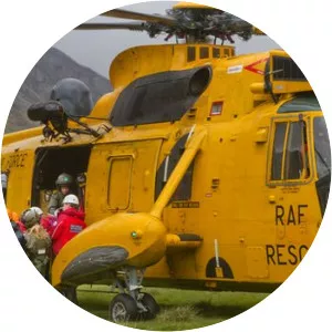 RAF Search and Rescue Force - Armed force