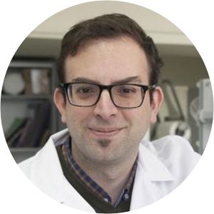 Rafael Luque - Researcher