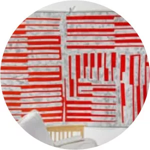 Rafael Vargas-Suarez - Artist