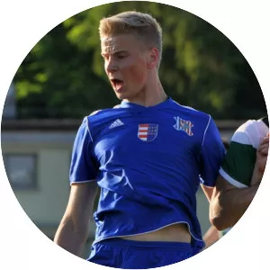 Rafał Mikulec - Football player