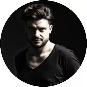 Raffaele Rizzi - Musical artist