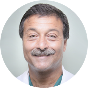 Rafik Mansour - Diplomat