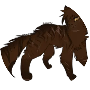 Raggedstar photograph