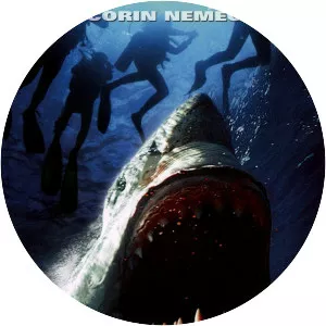 Raging Sharks - 2005 ‧ Thriller/Action ‧ 1h 34m