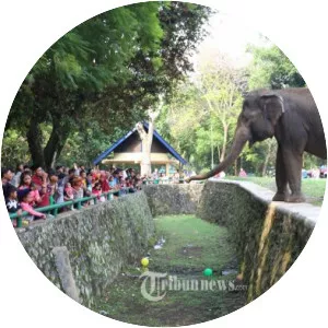 Ragunan - Village in Java, Indonesia