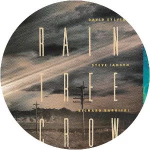 Rain Tree Crow photograph