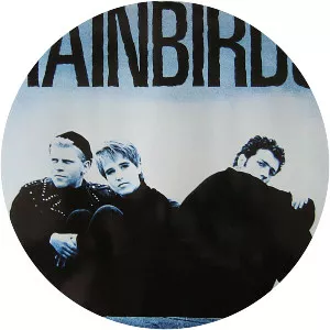 Rainbirds
