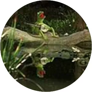 Rainbow Connection - Song by Kenneth Ascher and Paul Williams