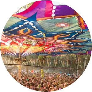 Rainbow Serpent Festival - Music Festival