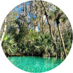 Rainbow Springs - Spring in Florida