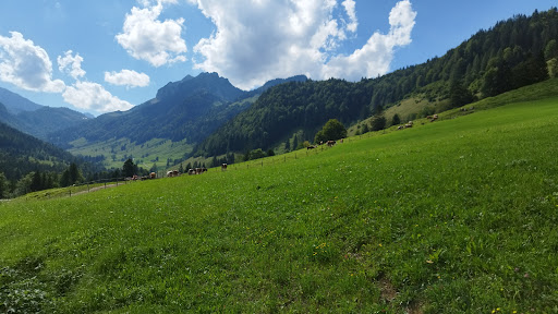 Raineralm - Farm in Kossen, Austria